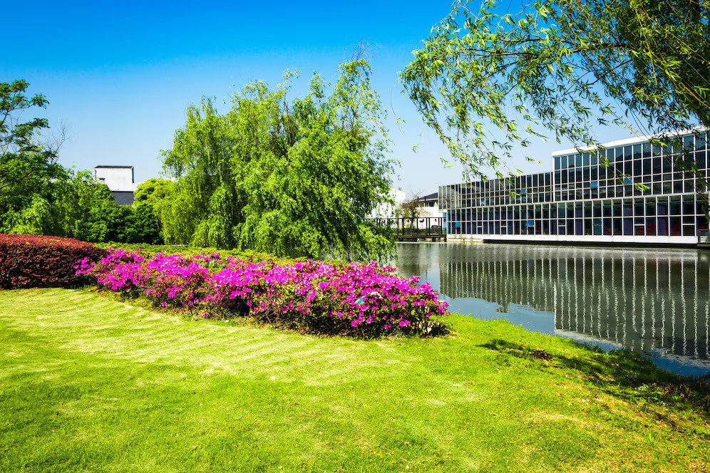 Commercial Landscaping Commercial Landscaping