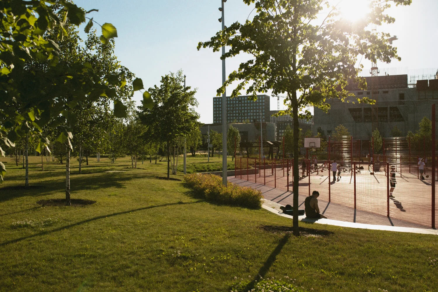 Commercial Landscaping Commercial Landscaping